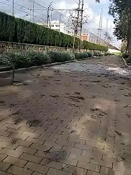 mehdi-l7away online show from 03.09.26