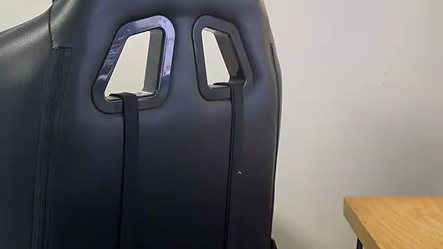 Snapshot of Dylansd chatting on 12.27.24 Dylansd online show from 12.27.24