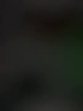 Snapshot of Dylansd chatting on 12.28.24 Dylansd online show from 12.28.24