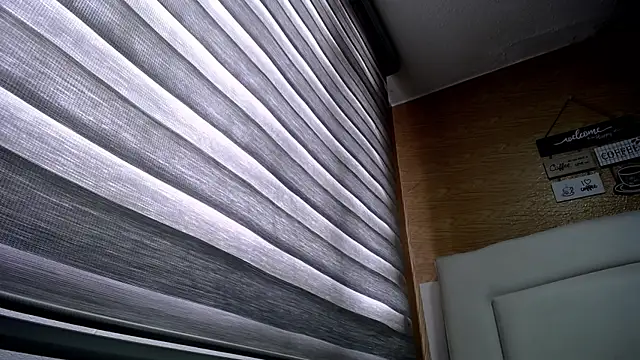 palmer mIix online show from 12.02.24