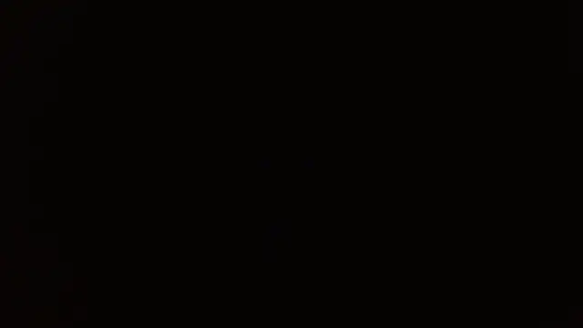 Snapshot of _______the chatting on 12.14.25 the online show from 12.14.25