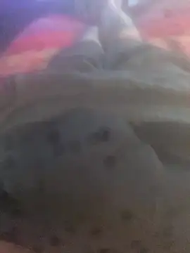 Snapshot of solomec chatting on 09.25.25 solomec online show from 09.25.25