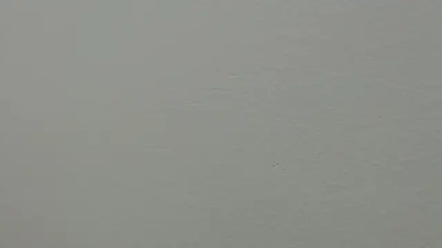 julz 03 online show from 03.01.25