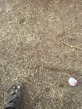 tamil000000 online show from 03.10.25