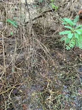 tamil000000 online show from 03.14.25