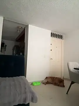 ariiel  online show from 03.19.25