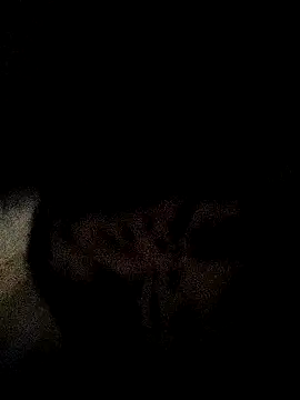 Snapshot of ruhi2003 chatting on 12.03.24 ruhi2003 online show from 12.03.24