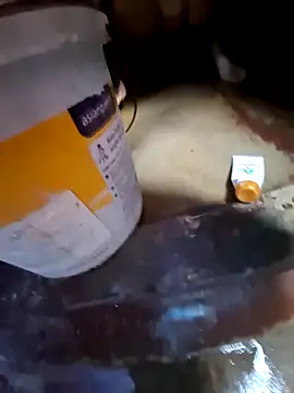 bobbyronak online show from 11.11.25