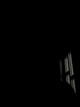 Nicusorescu26 online show from 10.09.25