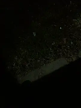 Nicusorescu26 online show from 10.14.25