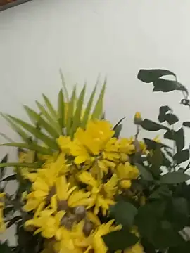 MireyaTorresGu online show from 03.04.26