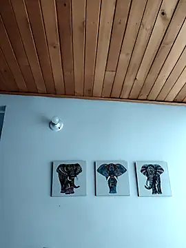 Neve Collins online show from 10.10.25