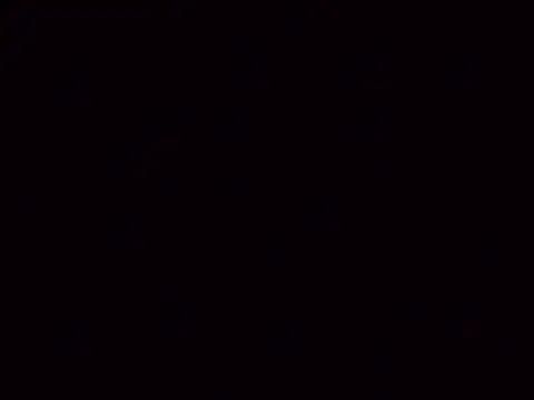 Nailahex online show from 11.05.25