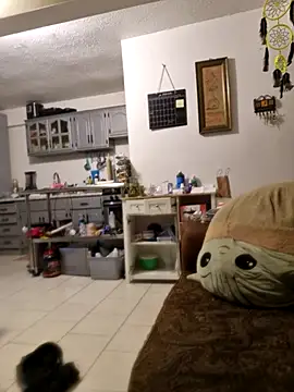 Snapshot of abdierkader chatting on 11.12.25 abdierkader online show from 11.12.25