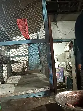 Skinny Bigass 23 online show from 02.10.25