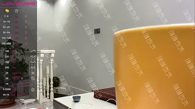 Snapshot of xinxin-521 chatting on 12.20.24 xinxin-521 online show from 12.20.24