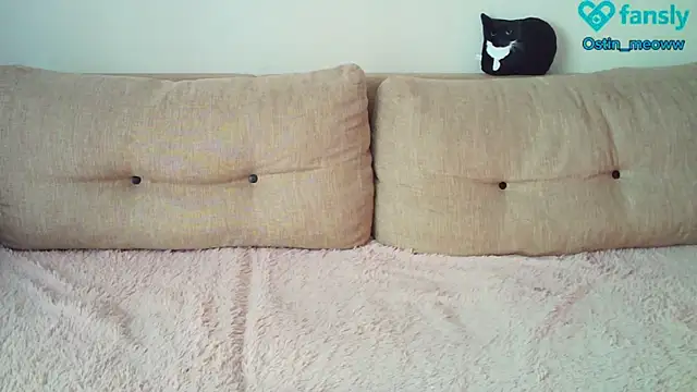 Ostin meow online show from 02.20.25