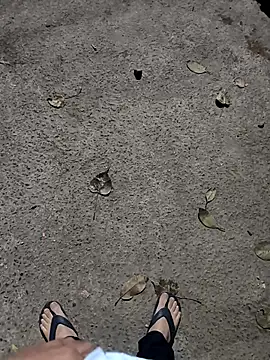 faaseel online show from 02.23.25