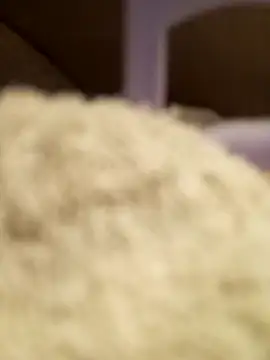 FlacoDani online show from 04.28.26