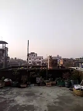 Jeetshine 1234 online show from 12.12.24