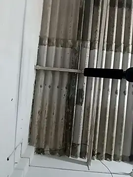 Sex-Nia online show from 12.19.24