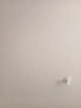 Morguisssz online show from 09.18.25