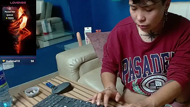 nato evans online show from 01.11.25