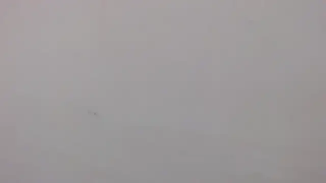 Snapshot of danilo302209 chatting on 01.27.25 danilo302209 online show from 01.27.25