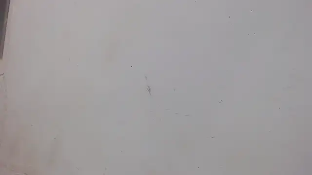 Snapshot of danilo302209 chatting on 02.01.25 danilo302209 online show from 02.01.25