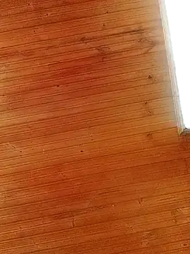 Snapshot of Darly_Gomez chatting on 03.01.25 Darly Gomez online show from 03.01.25