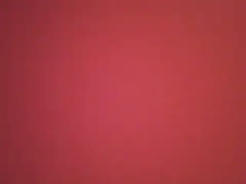  revianzip1 online show from 12.25.24