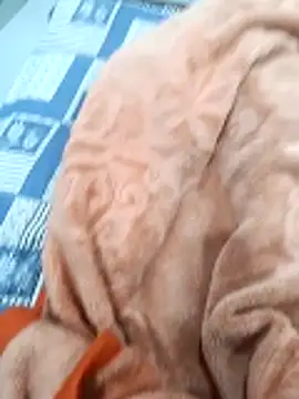 Kakabiraji online show from 11.08.25