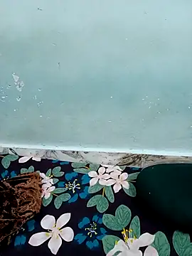 Haniya-143 online show from 12.15.25