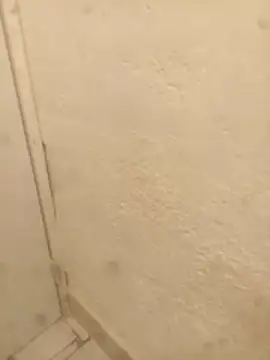 FlacoRiaton online show from 02.10.26