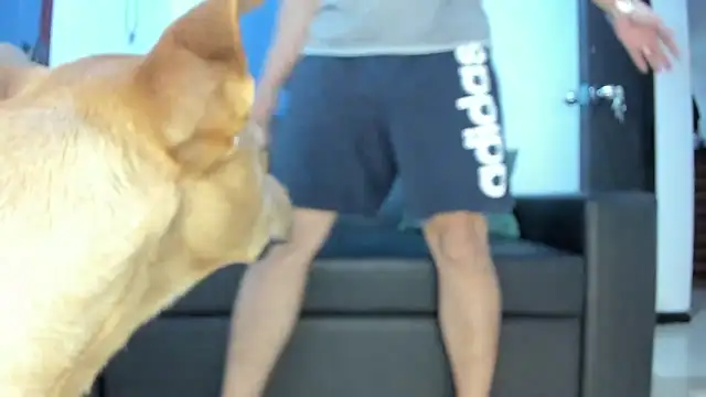 boss of cash online show from 10.18.25