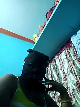 bhavanitelu online show from 11.20.25