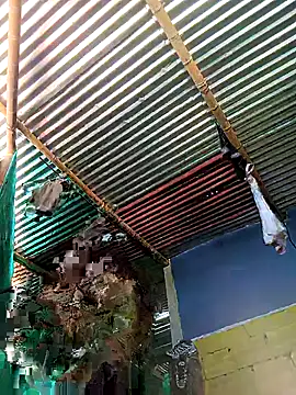 Snapshot of thamygomezz chatting on 09.09.25 thamygomezz online show from 09.09.25