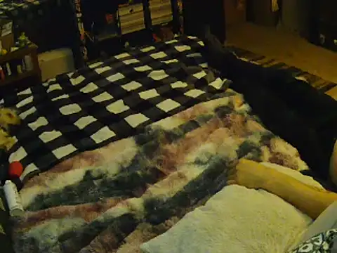 Snapshot of EroticKityii chatting on 04.01.26 EroticKityii online show from 04.01.26