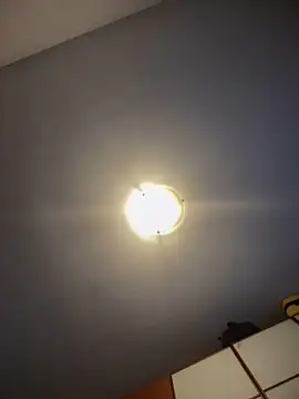 Snapshot of SecretlyDD chatting on 03.17.25 SecretlyDD online show from 03.17.25