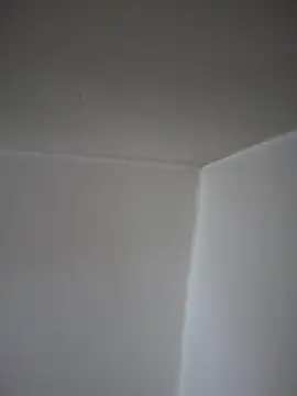 Snapshot of SecretlyDD chatting on 04.23.26 SecretlyDD online show from 04.23.26