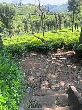 Snapshot of Hillz_king_98 chatting on 02.28.25 Hillz king 98 online show from 02.28.25