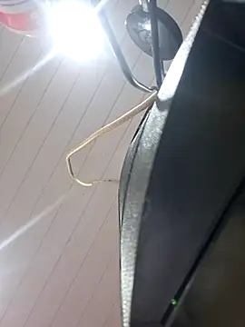 ppatriciarabello online show from 11.17.25