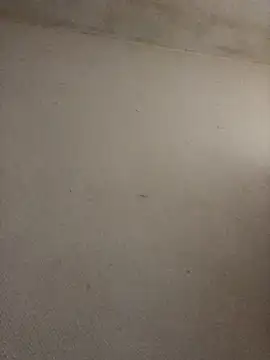 Snapshot of BELLAMORGANE1 chatting on 11.02.25 BELLAMORGANE1 online show from 11.02.25