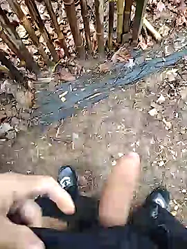 puertordic online show from 12.29.24