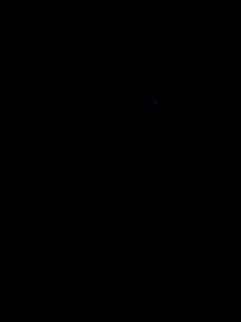 lokillo- 3000 online show from 03.15.25