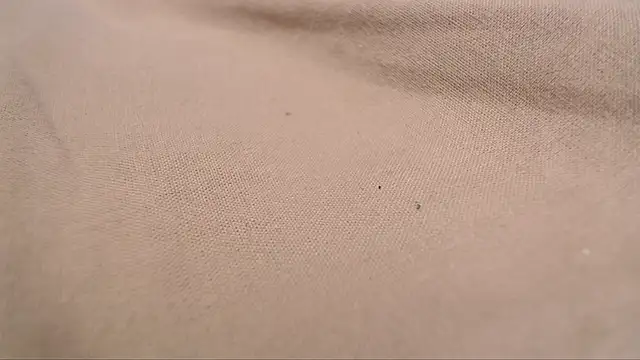 Lona-s online show from 04.08.26