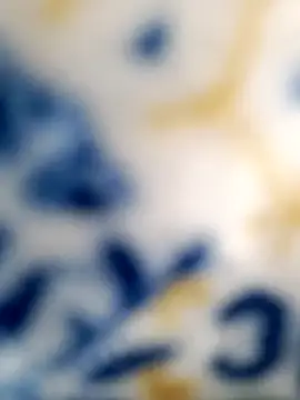 Tamil Vishalini online show from 12.29.24