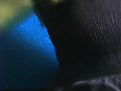 Tamil Vishalini online show from 11.28.25