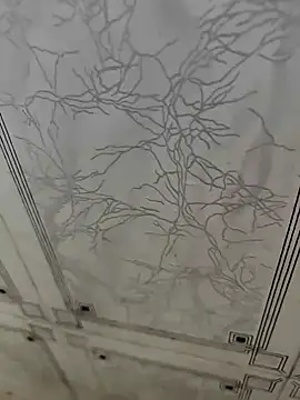 dreamers dick online show from 01.02.25