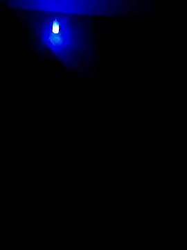 dreamers dick online show from 01.02.25